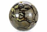 Huge, Polished Septarian Sphere ( lbs) - Madagascar #361330-1